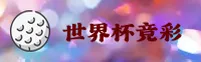 使用指南与常见问题